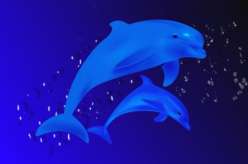 dolphin fish sea life