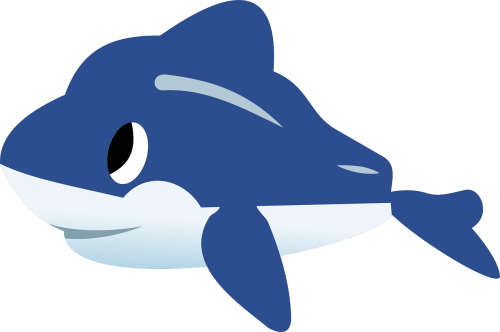 dolphin fish sea