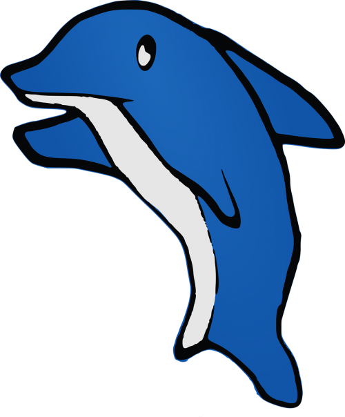 dolphin animal cartoon