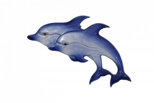 dolphin dolphins mammal