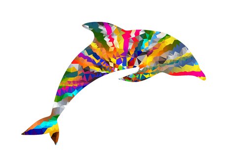 dolphin  colorful  ocean