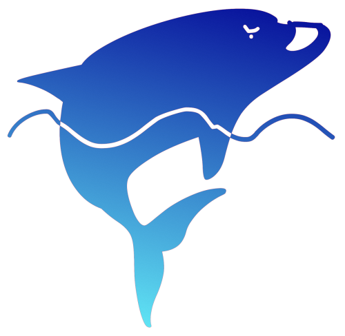 dolphin sea blue