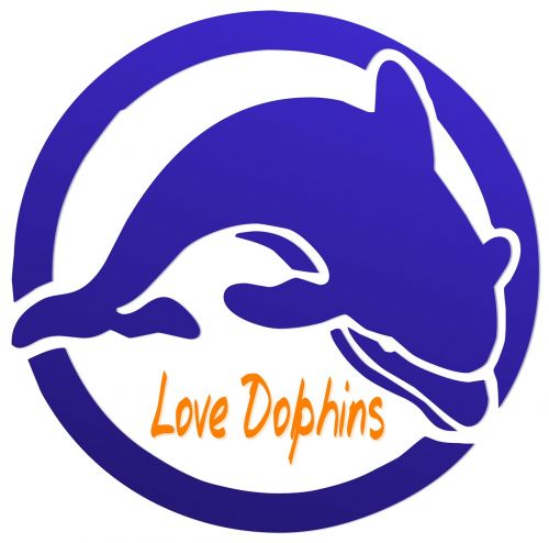 dolphin love conservation