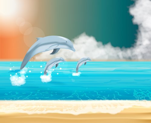dolphins  ocean  sea