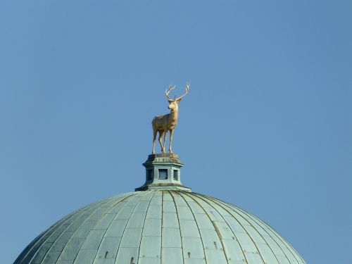 dome roof about