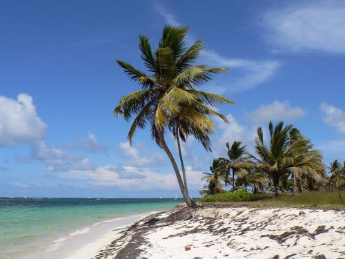dominican republic punta cana beach