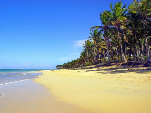 dominican republic punta cana beach