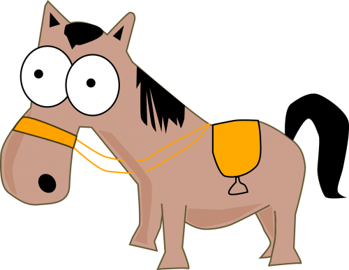 donkey horse pony
