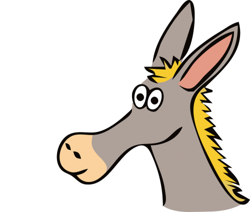 donkey animal mammal