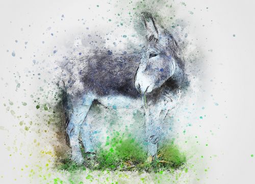 donkey animal art