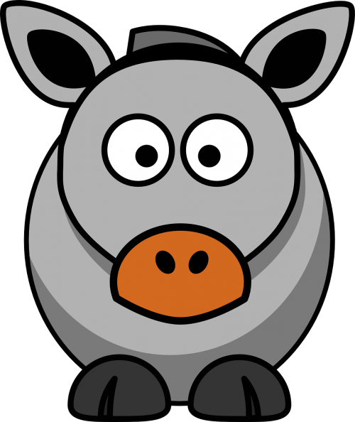 donkey mammal animal