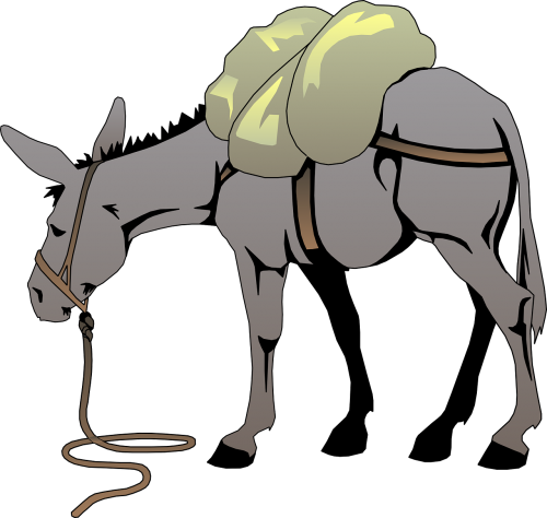 donkey gray load