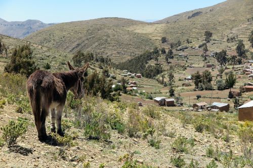 donkey chisi landscape