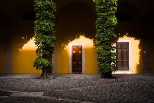 door yellow cyprus trees