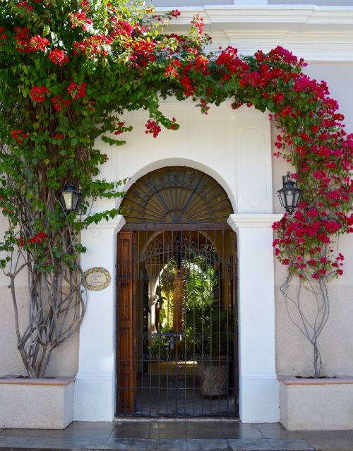 door colonial poplars