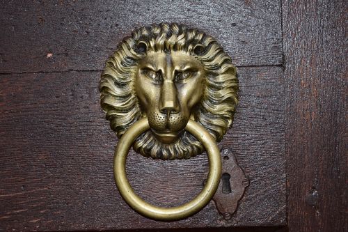 door the lion knocker