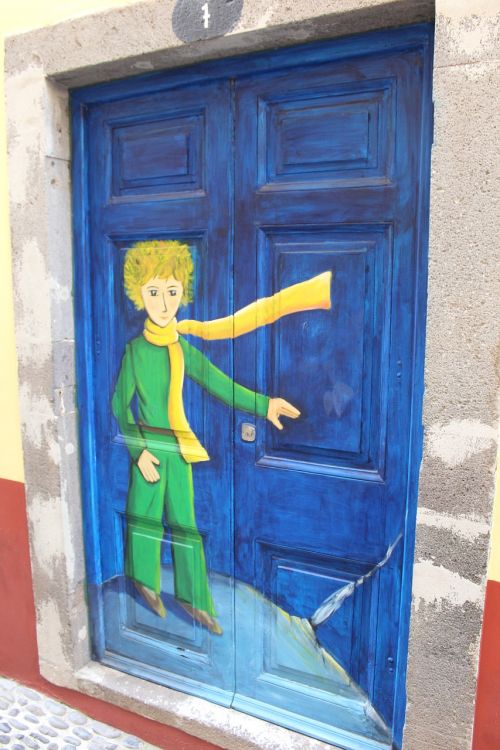 door little prince saint exupery