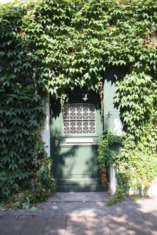 door front door shadow