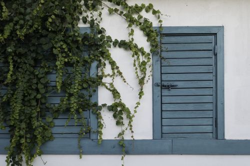 door facade green