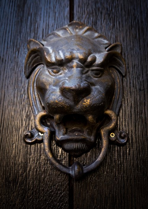 door  lion  entry