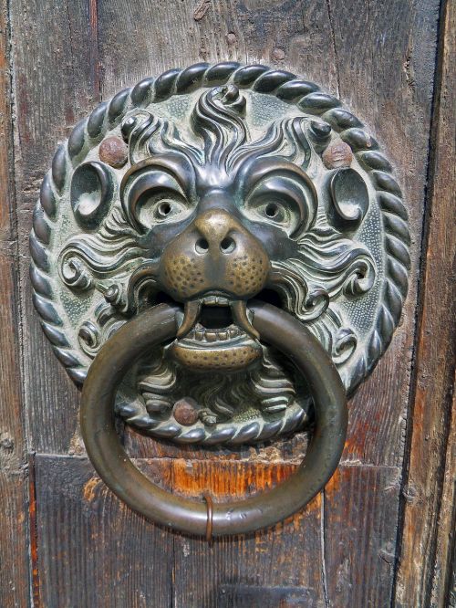 door lion bronze