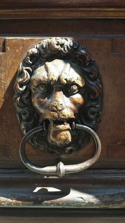 door knocker lion