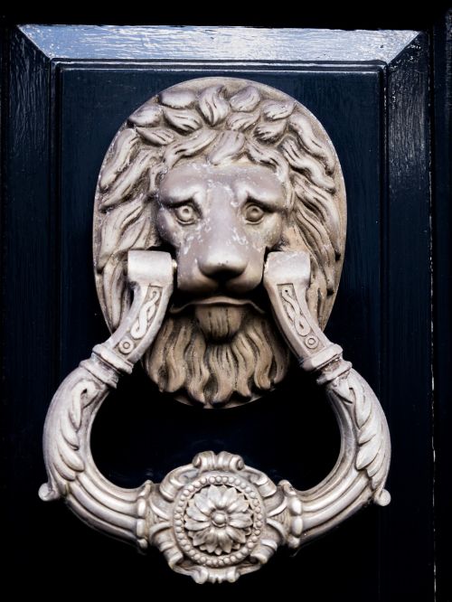 door knocker lion metal