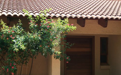 Door Of Cottage