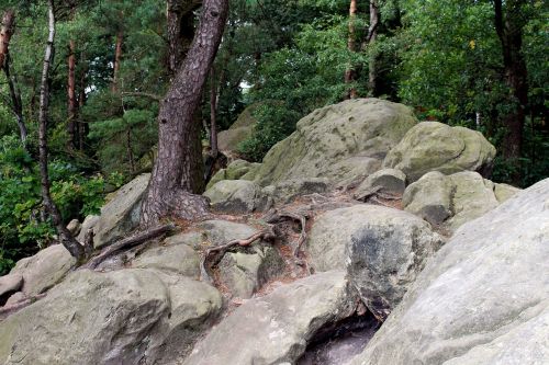 dörenther clip teutoburg forest stones