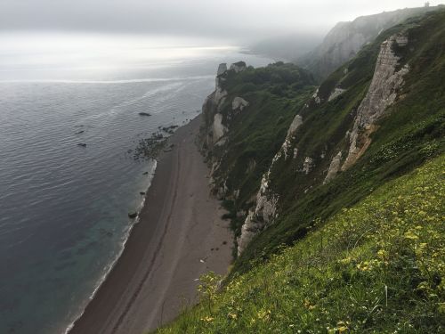 dorset coast british