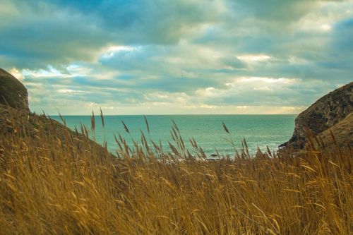 dorset sea worbarrow bay