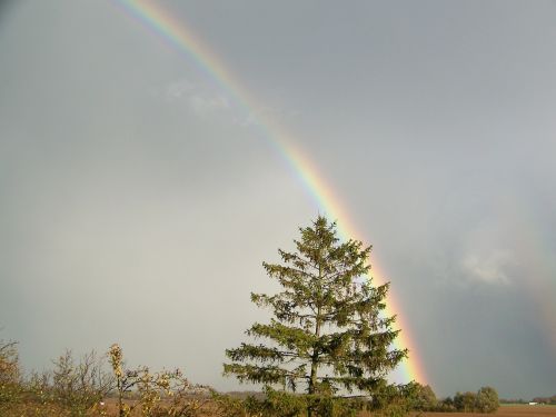 double rainbow germany