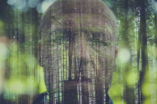double exposure photo forest