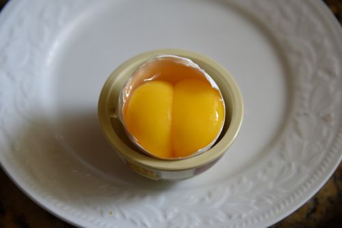 Double Yolk