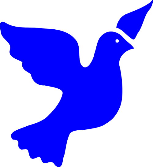 dove bird peace