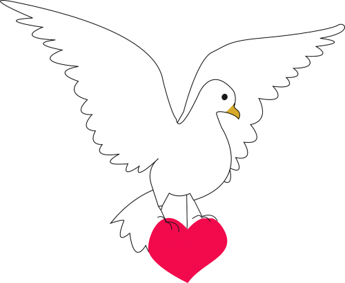 dove heart amour