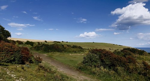 dover  white  cliff