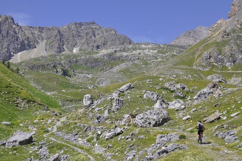 downhill  nature  mountain