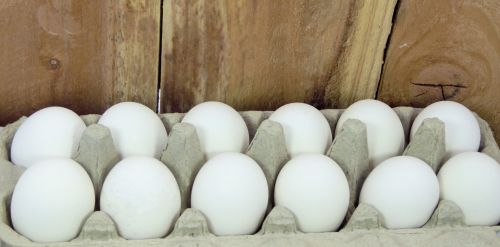 Dozen Eggs And Wooden Fence