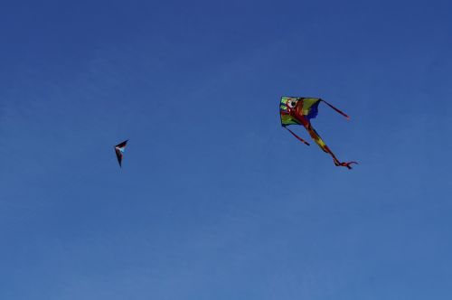 dragon kite flying kites rise