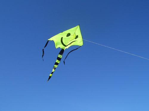paper dragon wind flying