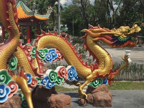 dragon zodiac chinese