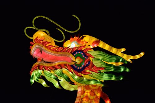 dragon chinese dragoon