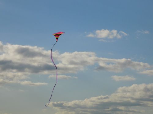dragon autumn kites rise