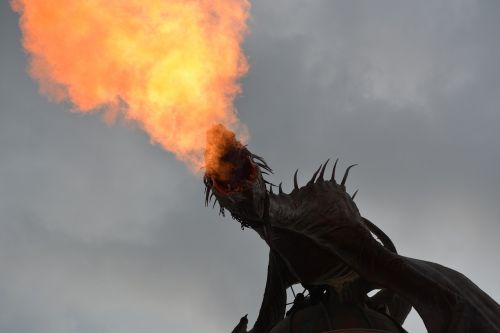dragon harry potter fire