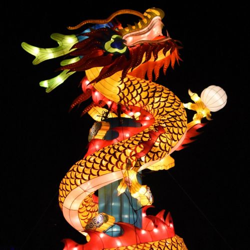 dragon chinese dragon lighting
