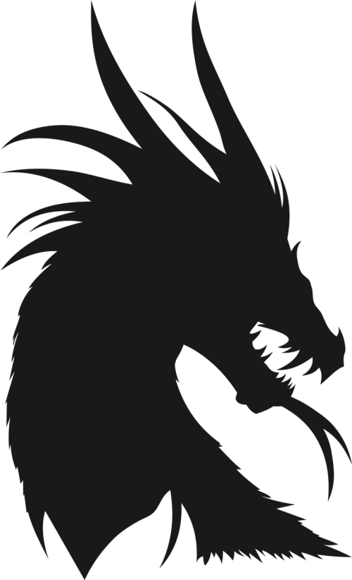 dragon the silhouette the head of the