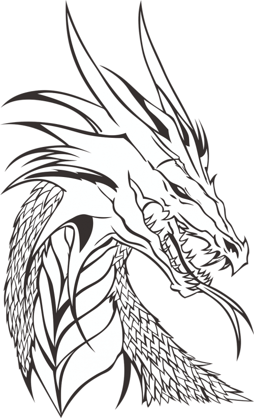 dragon no background the head of the