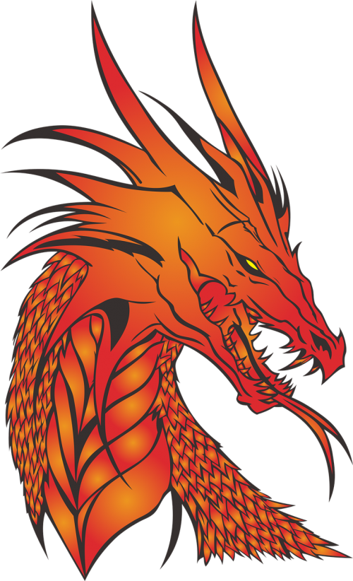 dragon no background the head of the