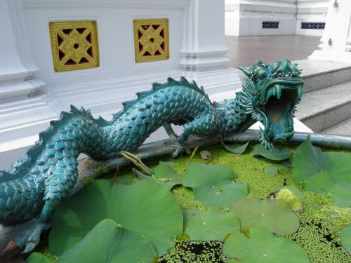 dragon lotus pond